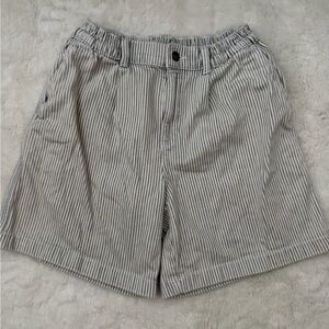 Aerie Blue and White Striped Shorts